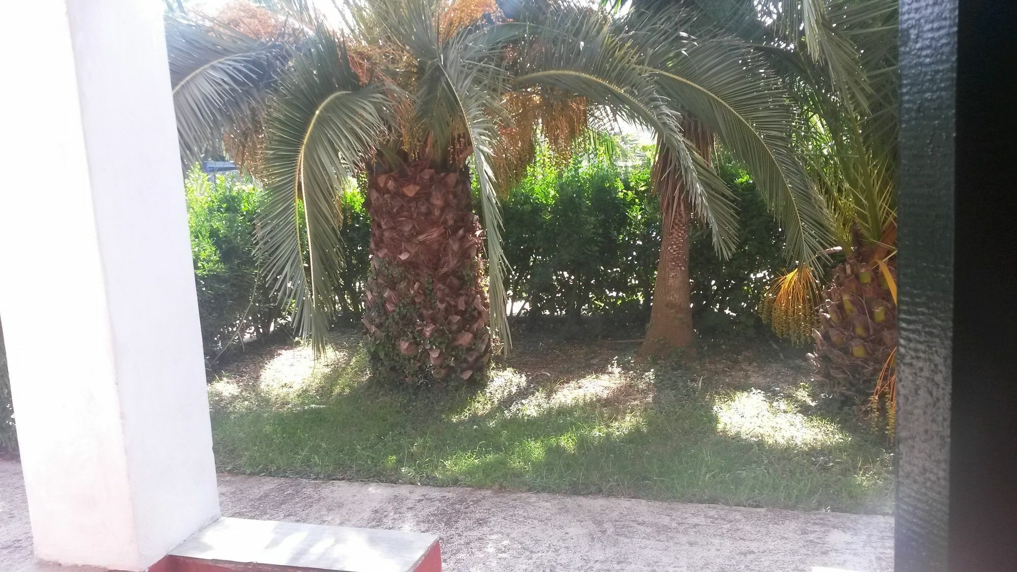 Sunny Dreams Apartments Ипсос Екстериор снимка